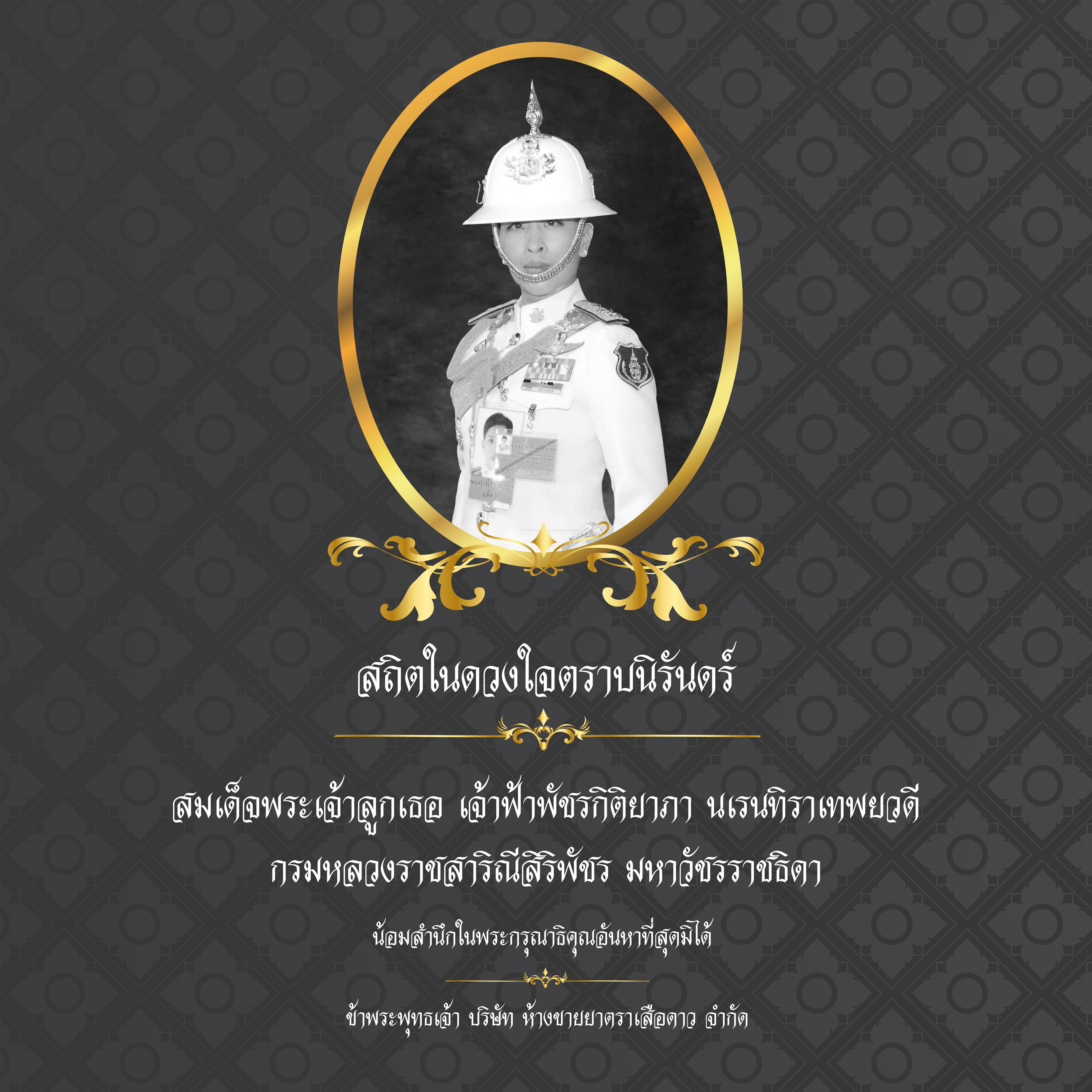 LPSS promotional banner placeholder